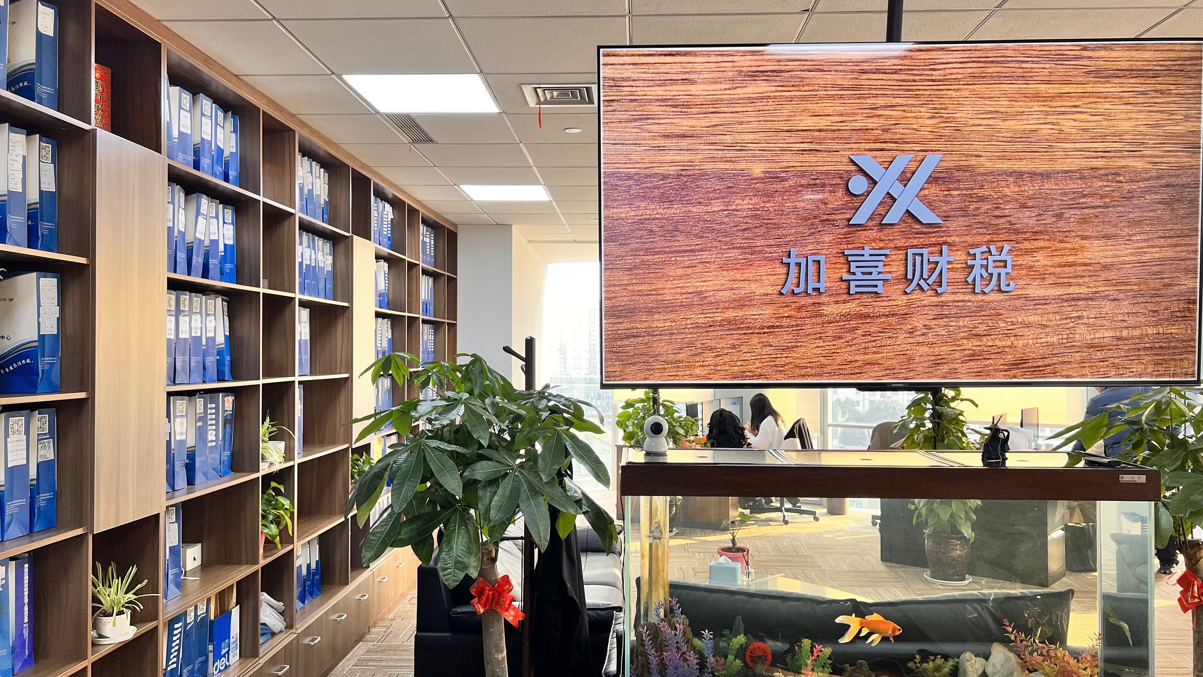 知识产权保护服务